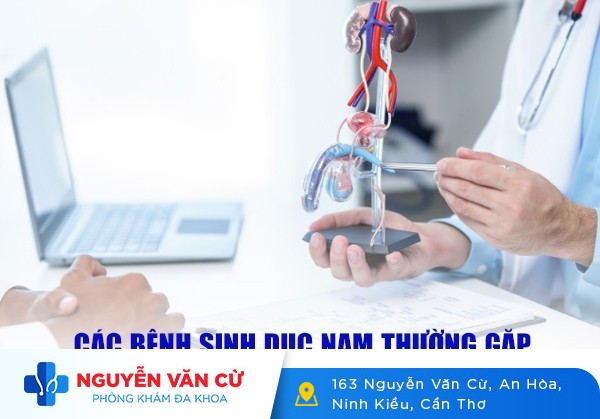 Các Bệnh Sinh Dục Nam Thường Gặp Và Cách Điều Trị Hiệu Quả