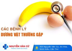 Các Bệnh Lý Dương Vật Thường Gặp Và Cách Điều Trị