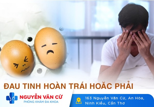 Đau 1 Bên Tinh Hoàn Trái Hoặc Phải Có Gì Khác Nhau?