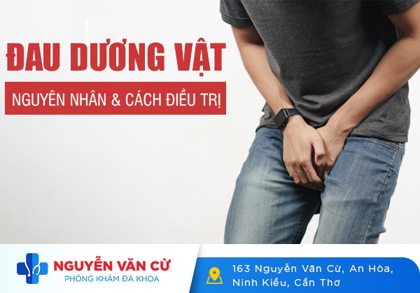 Đau Dương Vật Nguyên Nhân Và Cách Điều Trị Hiệu Quả