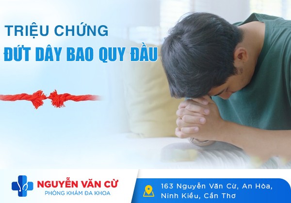 Triệu Chứng Đứt Dây Hãm Bao Quy Đầu