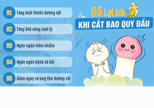 TOP 3 Phương Pháp Cắt Bao Quy Đầu Nhanh Chóng Thẩm Mỹ An Toàn