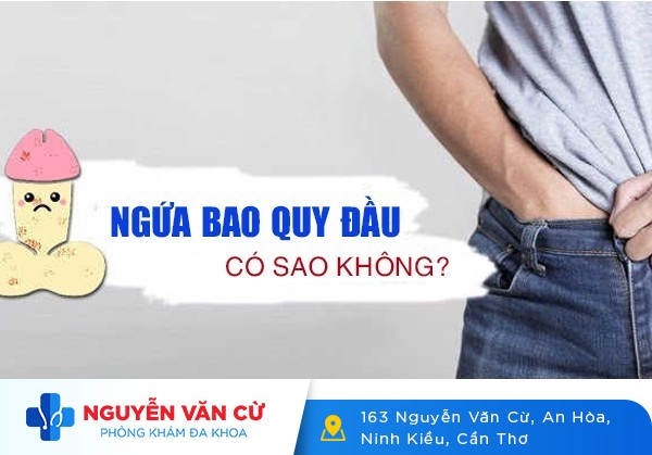 Ngứa Bao Quy Đầu Có Nguy Hiểm Không?