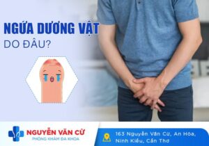 Ngứa Dương Vật Do Đâu?