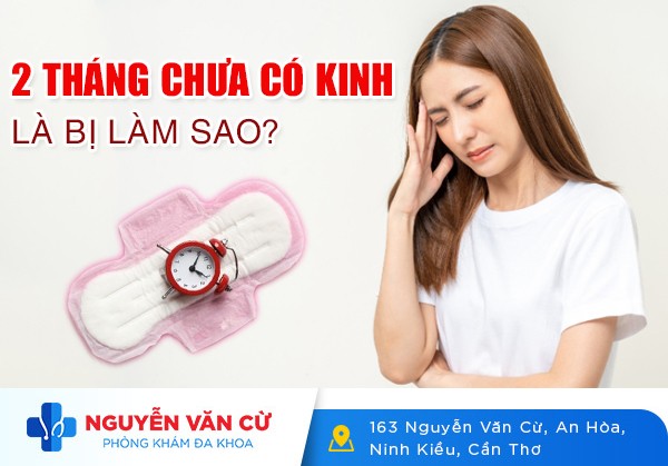 2 Tháng Chưa Có Kinh Nguyệt Là Bị Làm Sao? [Chuyên Gia Giải Đáp]