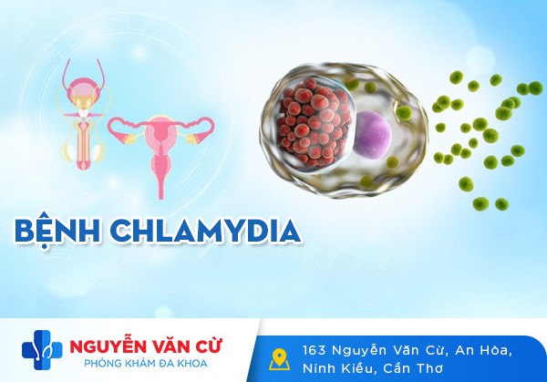 Chlamydia Là Gì? Dấu Hiệu Nhận Biết Và Cách Điều Trị