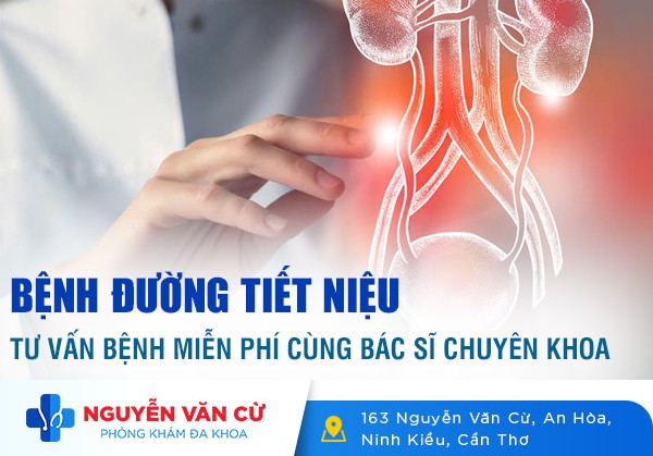 Bệnh Đường Tiết Niệu – Tư Vấn Bệnh Miễn Phí Cùng Bác Sĩ Chuyên Khoa Tiết Niệu