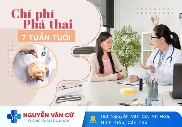 Bảng Giá Phá Thai 7 Tuần Tuổi Chi Tiết Nhất