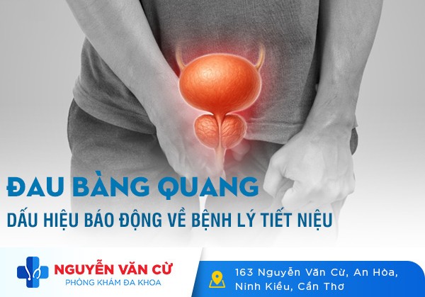 Đau Bàng Quang: Dấu Hiệu Báo Động Về Các Bệnh Lý Tiết Niệu