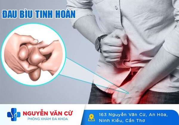 Tình Trạng Đau Bìu Ở Nam Giới