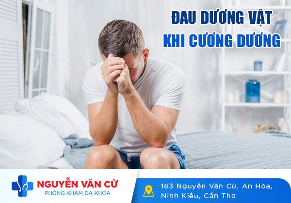 Tình Trạng Cương Dương Bị Đau Ở Dương Vật Và Cách Điều Trị