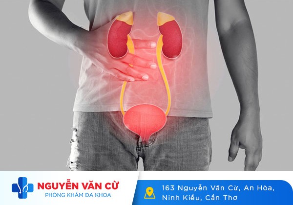 Tình Trạng Đau Rát Đường Tiểu Kéo Dài
