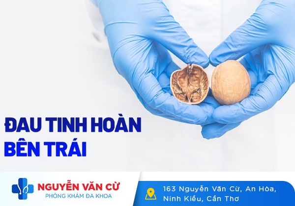 Nguyên Nhân Về Dấu Hiệu Đau Tinh Hoàn Trái