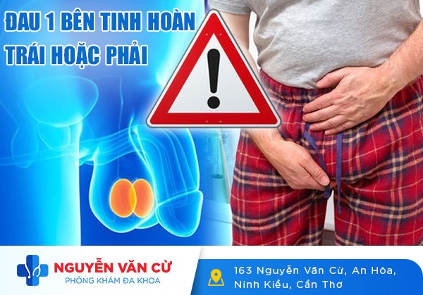 Giải Đáp Hiện Tượng Đau 1 Bên Tinh Hoàn Trái Hoặc Phải