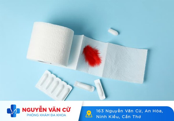 Hậu Môn Chảy Máu Là Bệnh Gì?