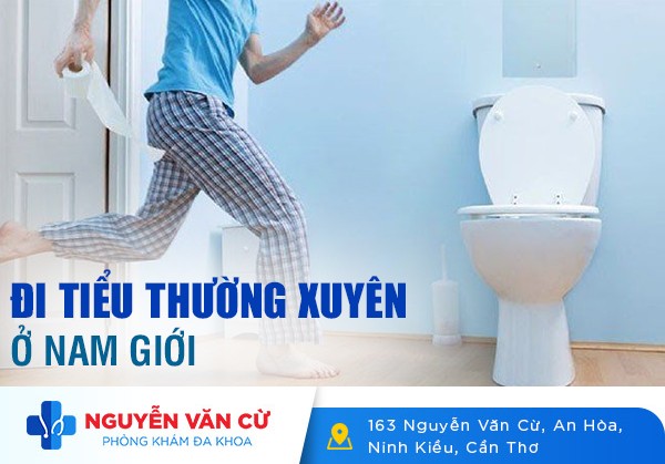 Đi Tiểu Thường Xuyên Ở Nam Giới Có Đáng Lo Ngại Không?