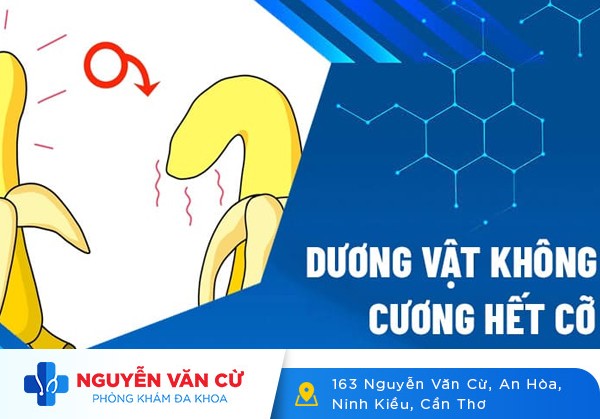 Tại Sao Dương Vật Khó Cương Khi Quan Hệ?