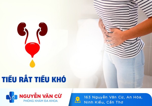Bài Thuốc Điều Trị Chứng Khó Tiểu Ở Nữ