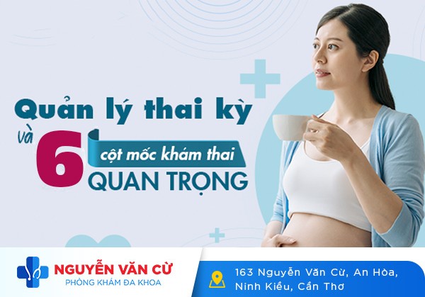 Các Mốc Khám Thai Định Kỳ Mẹ Bầu Nên Nhớ Là Gì?