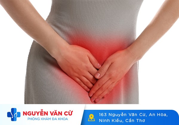 Vùng Kín Bị Nổi Hạt Trắng, Đỏ, Nhỏ Ngứa Là Dấu Hiệu Bệnh Gì?
