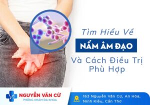 Thủ Phạm Khiến Nữ Giới Nhiễm Nấm Âm Đạo