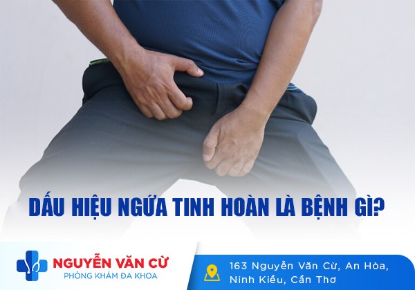 Dấu Hiệu Ngứa Tinh Hoàn Là Bệnh Gì?