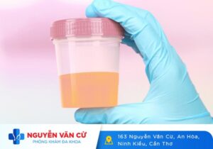 Nước Tiểu Có Màu Hồng Như Máu