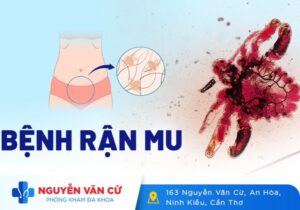 Rận Mu Vùng Kín Là Bệnh Gì? Dấu Hiệu Nhận Biết Và Cách Điều Trị Rận Mu Vùng Kín