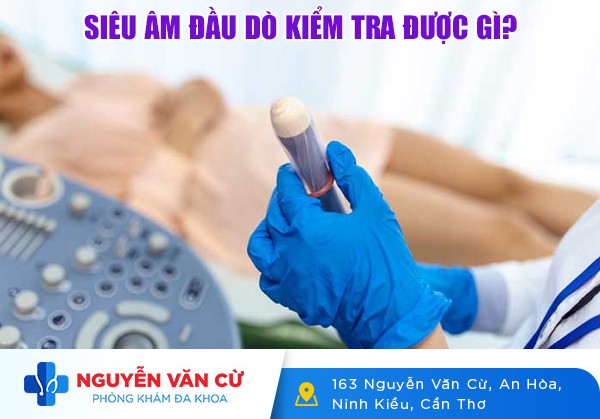 Siêu Âm Đầu Dò Kiểm Tra Được Gì?