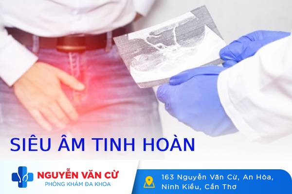 Siêu Âm Tinh Hoàn Nhận Biết Bệnh Lý Gì?