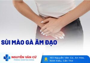 Dấu Hiệu Nhận Biết Sùi Mào Gà Ở Âm Đạo Và Phương Pháp Điều Trị