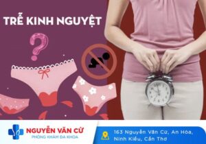 Trễ Kinh Cảnh Báo Về Chất Lượng Sức Khỏe