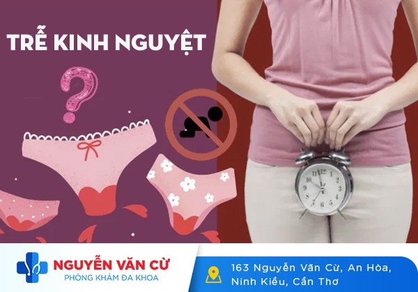 Trễ Kinh Cảnh Báo Về Chất Lượng Sức Khỏe