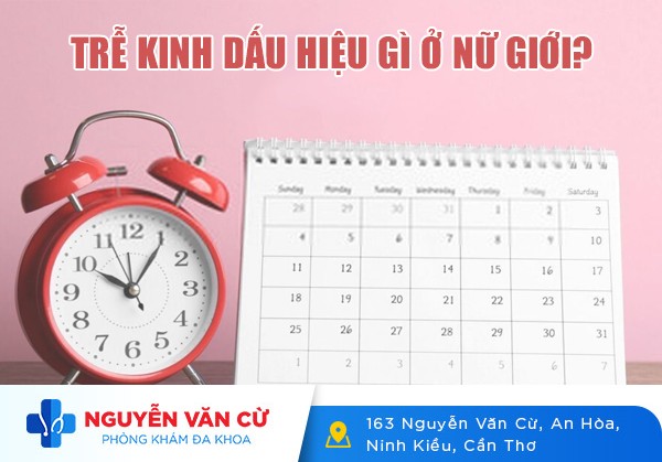 Trễ Kinh Dấu Hiệu Gì Ở Nữ Giới?
