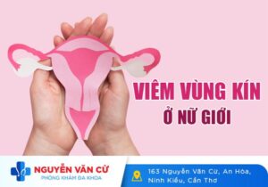 Viêm Vùng Kín – Bệnh Phụ Khoa Phổ Biến, Nguy Hiểm Cao