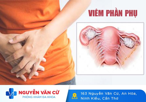 Viêm Phần Phụ Là Gì? Bệnh Có Gây Vô Sinh Không?